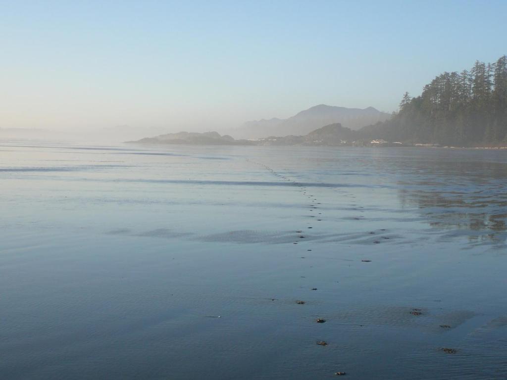 203 At Water'S Edge Daire Ucluelet Dış mekan fotoğraf